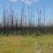Burn Areas South of Fort McMurray