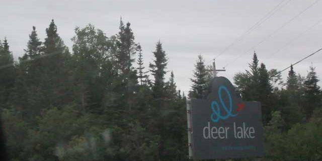 Deer Lake and Springdale Newfoundland