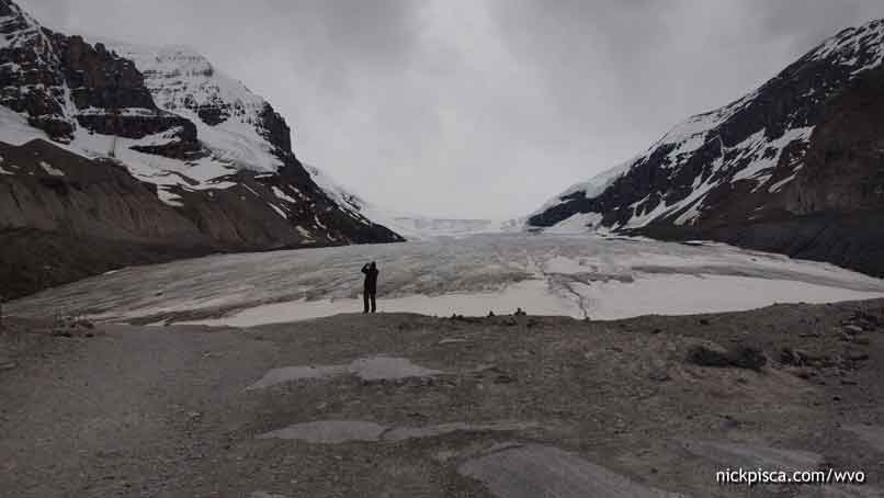Icefield Glacier
